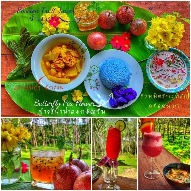 🍄 Ling Noi Farm🥀พัทลุง