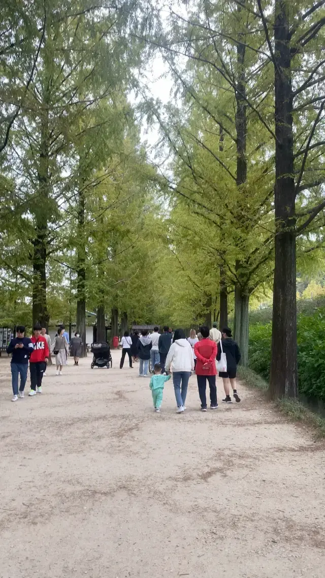 Amazing walking path in Gwangju