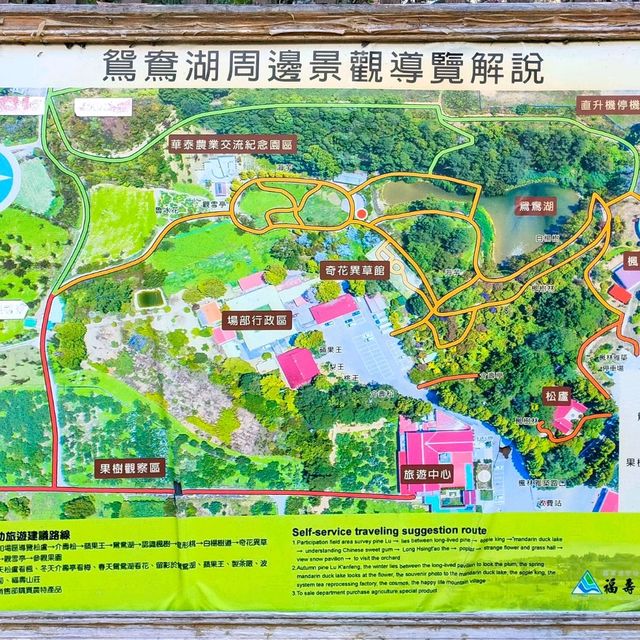 福壽山農場-如夢似幻鴛鴦湖