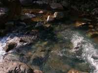 Leuwi Hejo means Greenish River