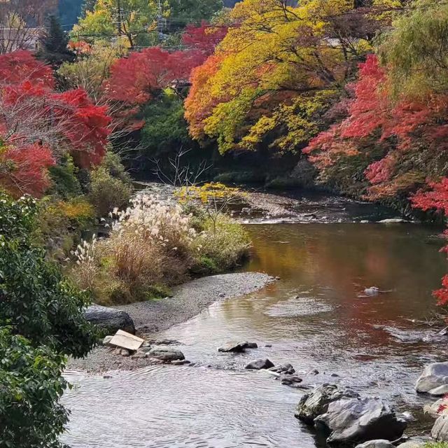 在京都賞紅葉