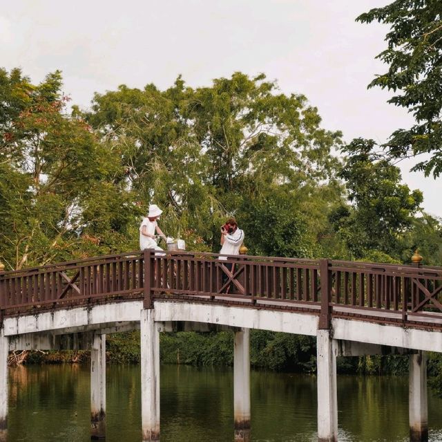  ไปปั่นจักรยานในสวน และขึ้นหอดูนกกัน #บางกะเจ้า