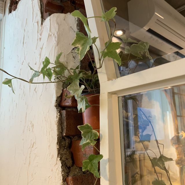 [🇰🇷, 창원] 이한치한 겨울에 빙수 즐기기, 산토리니 🇬🇷🍧