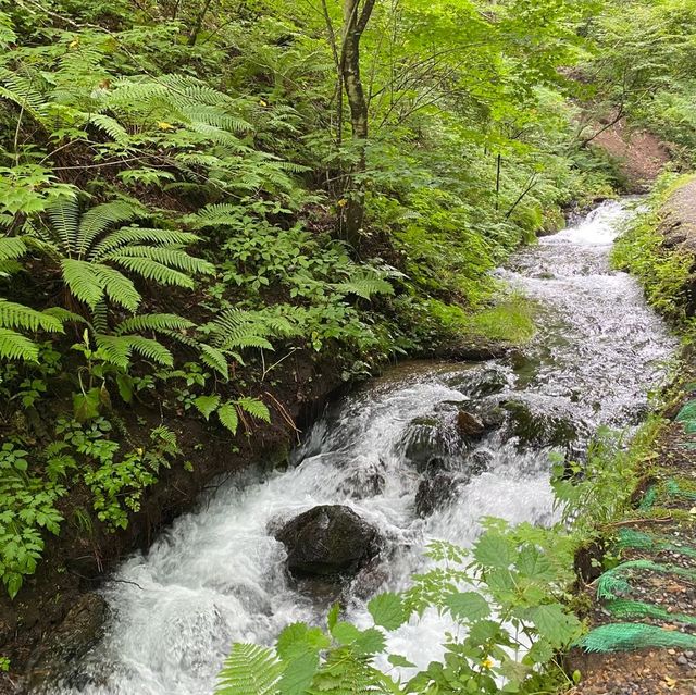 【長野】軽井沢に行ったら訪れたい癒しの滝