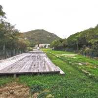 白腊村