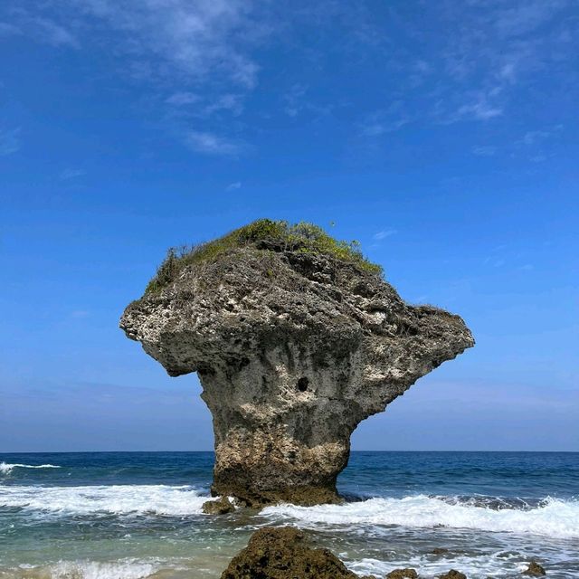 台灣小流球嶼
