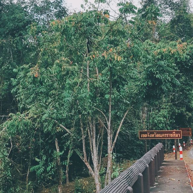 อุทยานแห่งชาติเขาใหญ่ 🌳