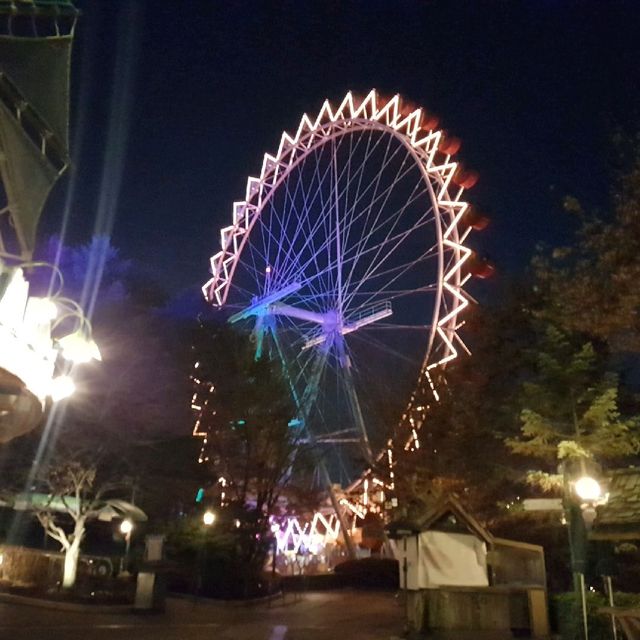 The wonderful everland theme park in Seoul