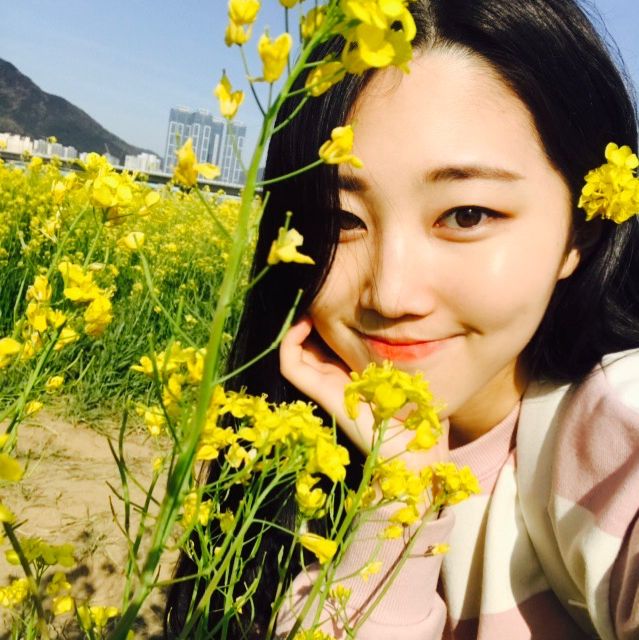 부산에서 가장 예쁜 유채꽃이 있는 대저생태공원