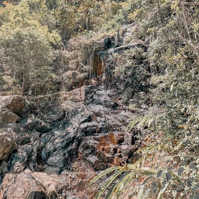 新手港島路線🏔輕鬆行