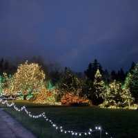 Christmas lights festival at the botanical gardens 