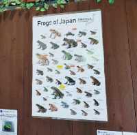 京都市動物園　京都の森