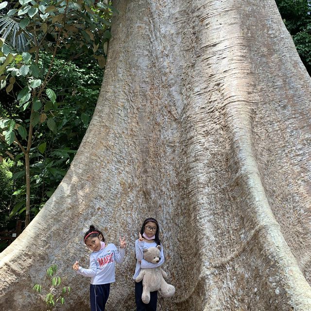 Be a mowgli at Taman Negara Jerantut Pahang