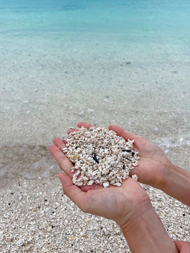 몰디브아니구 우도입니다🙆🏻‍♀️🌊‼️