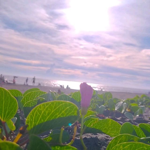 台南黃金海岸