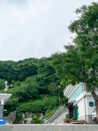선선해진 저녁에 걷기좋은 낙산공원
