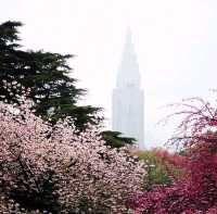 LATE SPRING @SHINJUKU GYOEN NATIONAL GARDEN