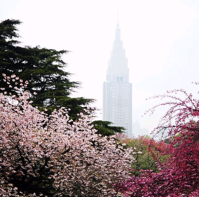 LATE SPRING @SHINJUKU GYOEN NATIONAL GARDEN
