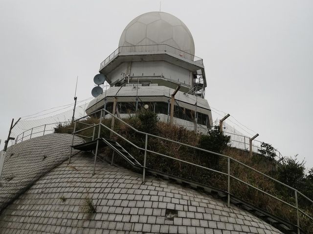 港島徑柏架山段 
