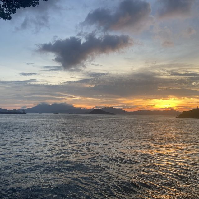 夕陽無限好 🌅 