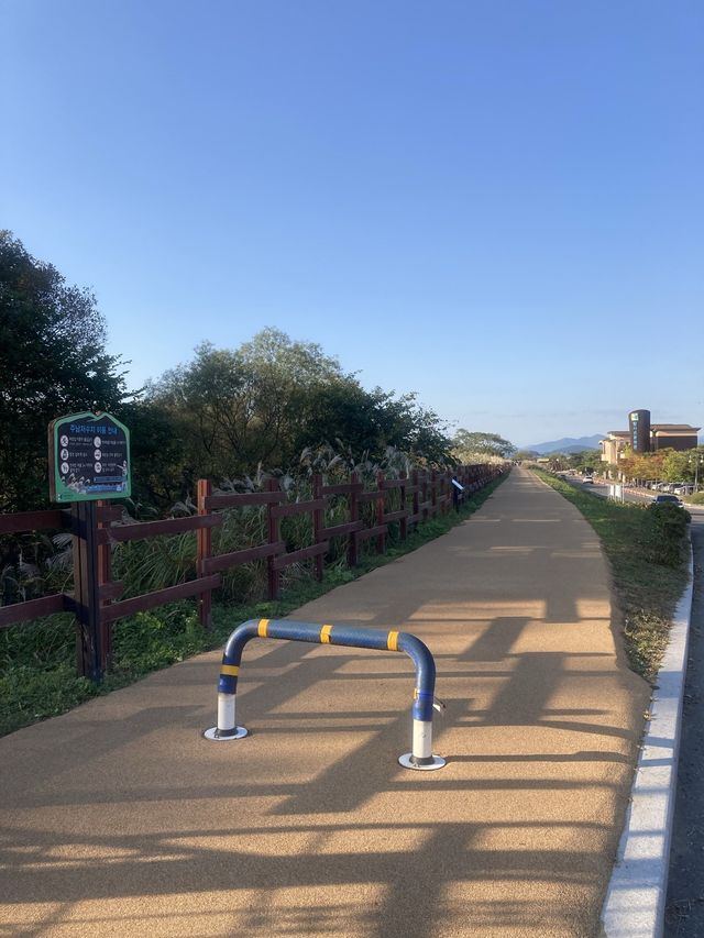 자전거와 피크닉 하기 좋은 공원