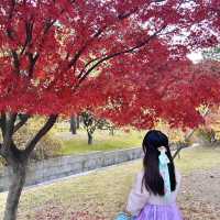 서울 아름다운 가을 단풍 명소, 경복궁 향원정🍁