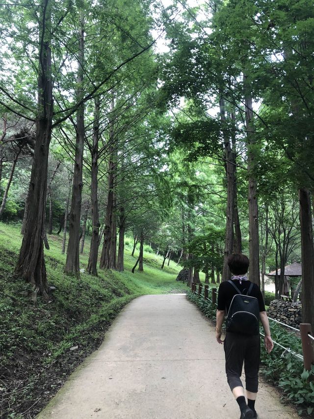 미동산수목원.  산책하기 딱 좋은 청주 외곽 여행지