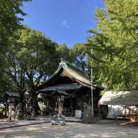 【福岡】御神木の公孫樹が見応えあります