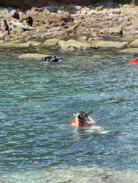 거제도 스노쿨링 스팟 🏊‍♂️🌊🤿 