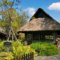 Nekoemon Cafe คาเฟ่สไตล์ญี่ปุ่นในเชียงใหม่