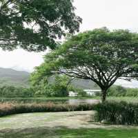 Frenpresso at lake - คาเฟ่บรรยากาศสงบติดทะเลสาบ
