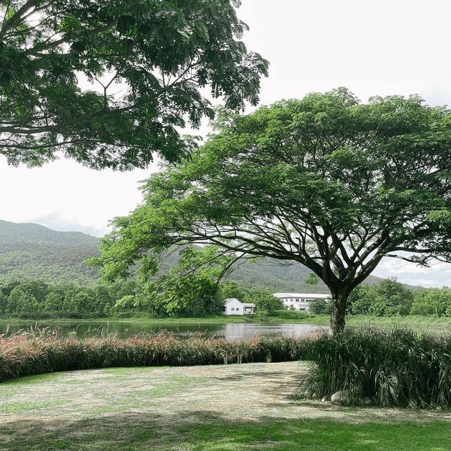 Frenpresso at lake - คาเฟ่บรรยากาศสงบติดทะเลสาบ