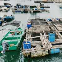 A day in Lamma Island