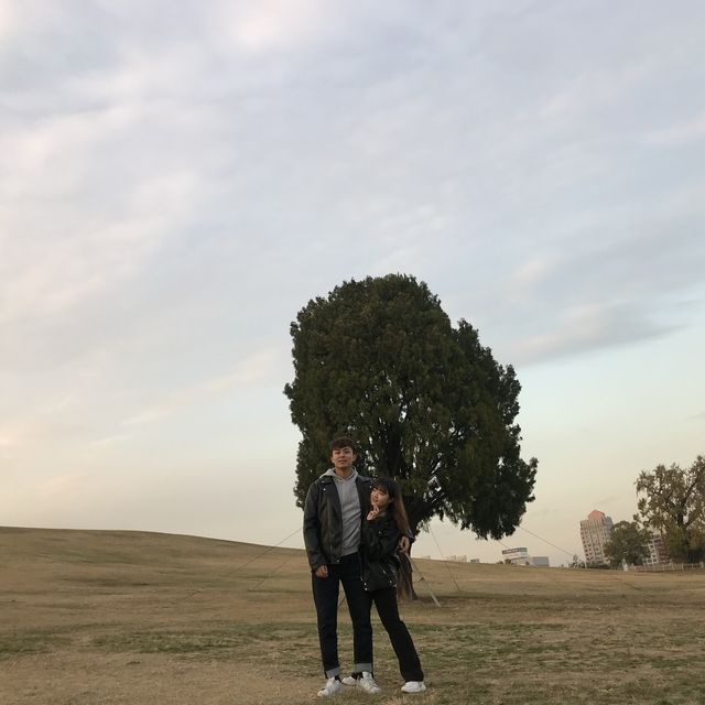 올림픽공원에서 단풍 즐기기🍁🍂