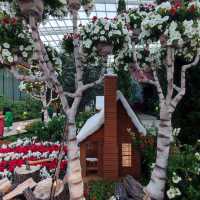 Christmas @ Flower Dome
