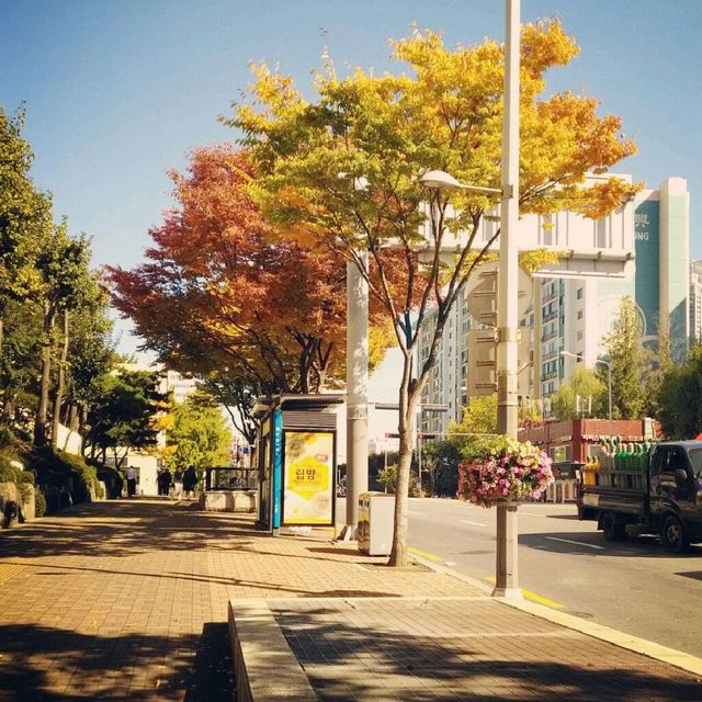 Autumn in Seoul, South Korea