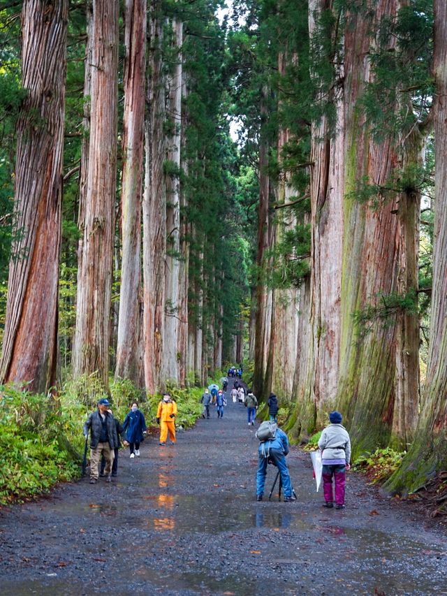 【長野・戸隠】戸隠神社