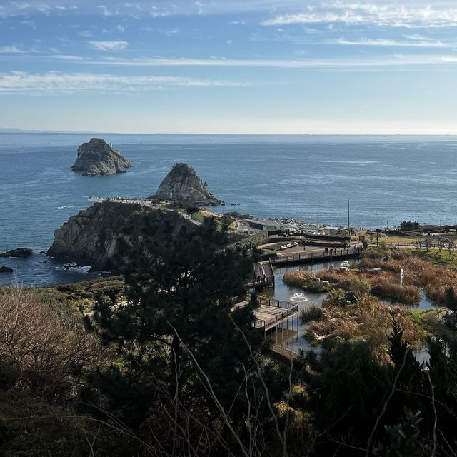 부산의 해안 산책로, 이기대 오륙도 스카이워크🌊