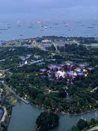 Birds-eye View 