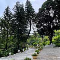 香港公園🏞鬧市中尋找一點寧靜😌