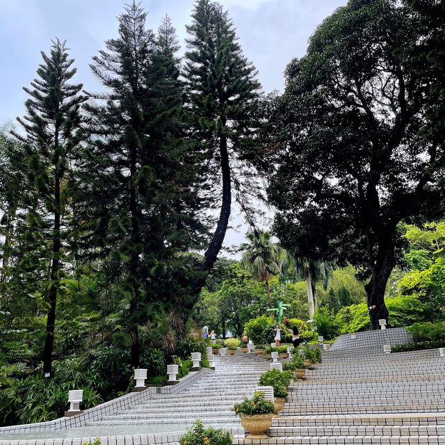 香港公園🏞鬧市中尋找一點寧靜😌