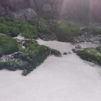 白臘灣到木棉洞再到萬柱海岸，一路美景奇景