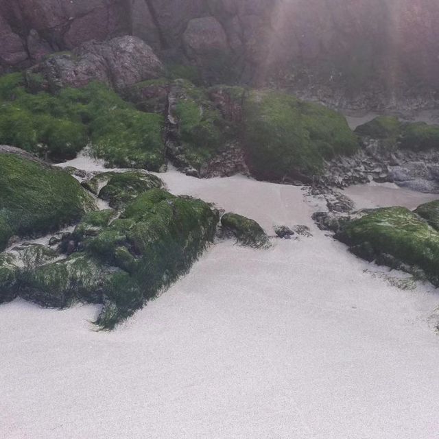 白臘灣到木棉洞再到萬柱海岸，一路美景奇景