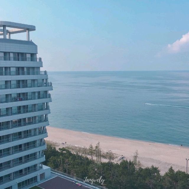 강릉 세인트존스 호텔은 오션뷰가 최고야
