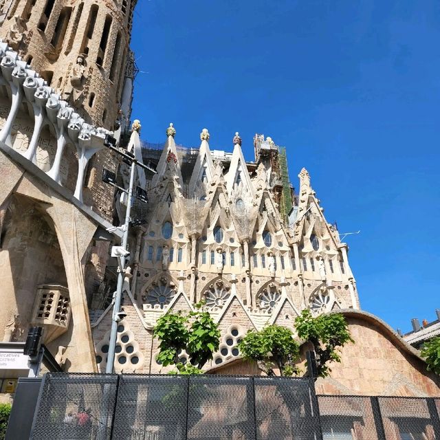 사그라다 파밀리아 성당 & 스페인 & 바르셀로나