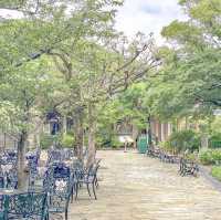グラバー園中段のあたりの景色と紫陽花