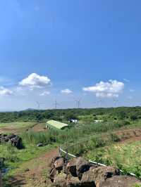 제주 오름 “문도지 오름”