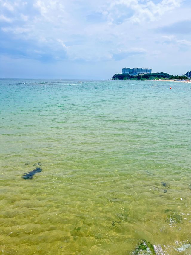 에메랄드빛 바다색감에 치이는 속초해수욕장🌊