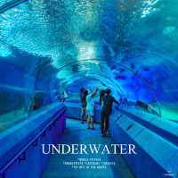 ผจญภัยโลกใต้น้ำ “Under Water World” พัทยา!