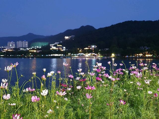 사시사철 언제 가도 예쁜 꽃과 푸른 나무를 구경할 수 있는 대구 수성못🌸🌺